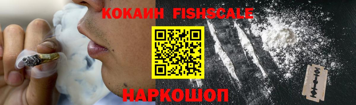 Cocaine Fish Scale  Вход с VPN  Кизилюрт 