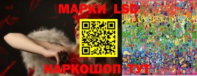 спиды Бийск