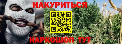 спиды Бийск