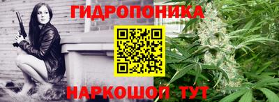 ПСИЛОЦИБИНОВЫЕ ГРИБЫ Беслан