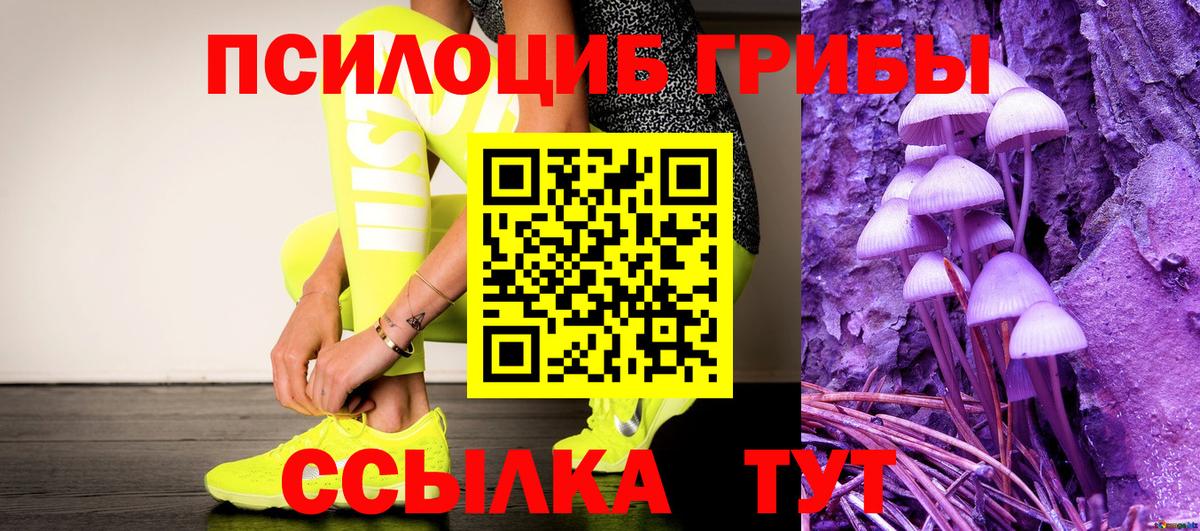 закладка  Галлюциногенные грибы MAGIC MUSHROOMS  Псилоцибиновые грибы Cubensis  Вход с VPN  Кизилюрт 